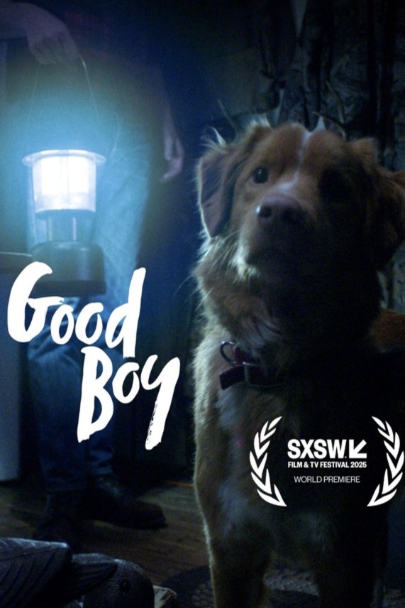 Poster of the movie Good Boy