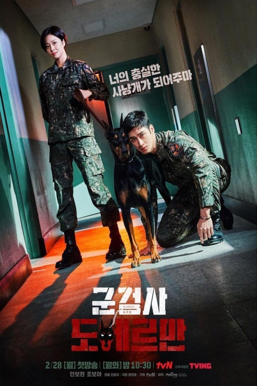 Korean poster of the movie Military Prosecutor Doberman