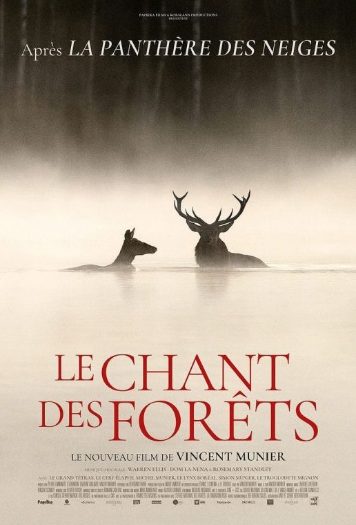L'affiche du film Le chant des forêts [2025]