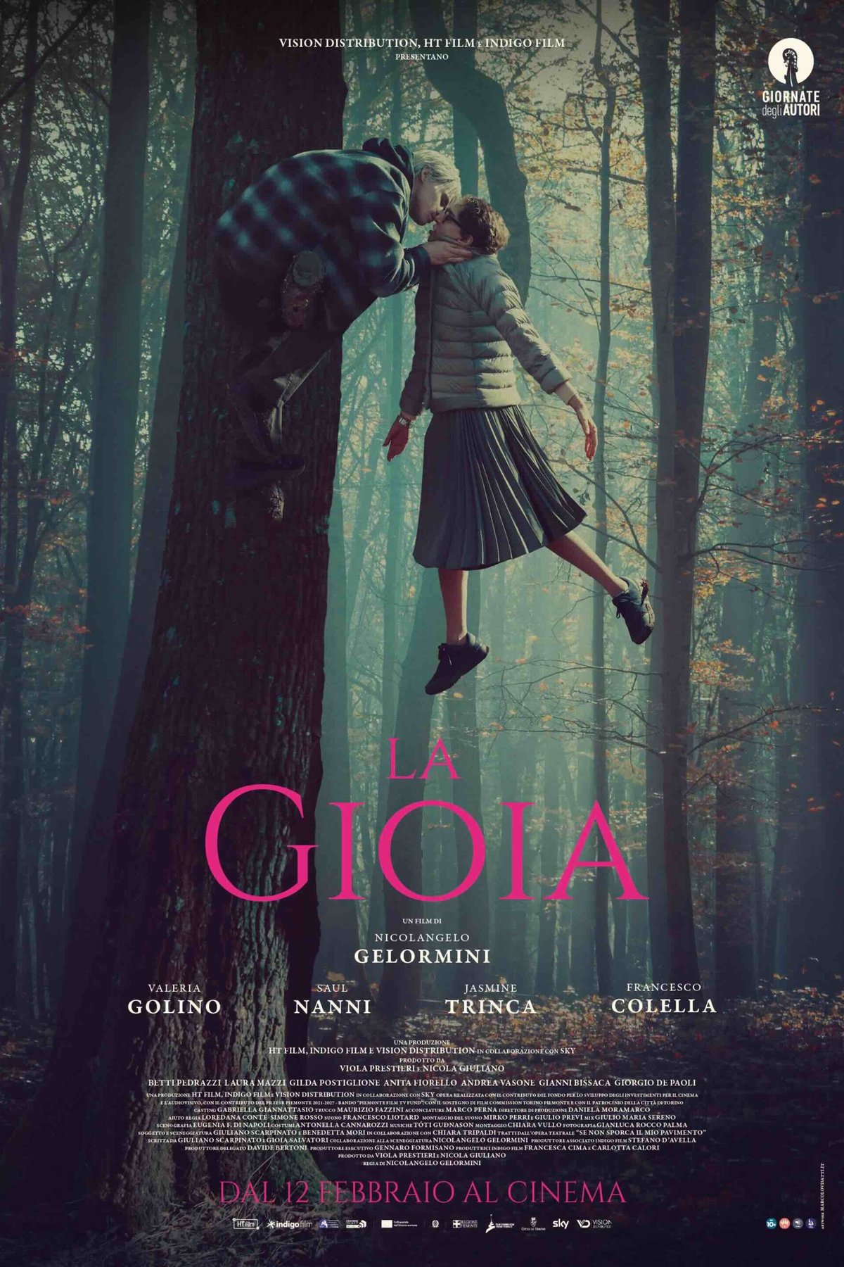 L'affiche du film La gioia