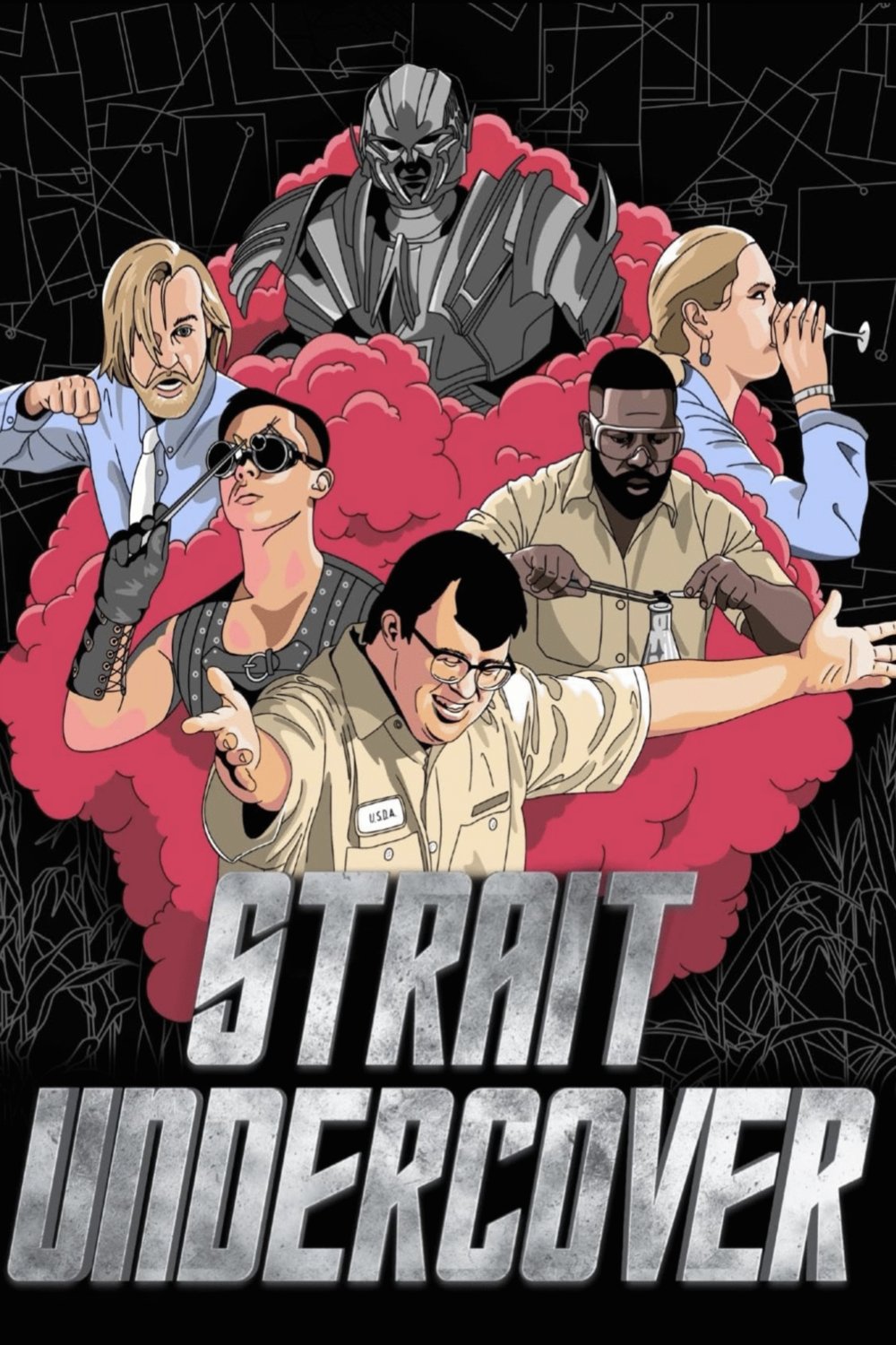 Poster of the movie Strait Undercover