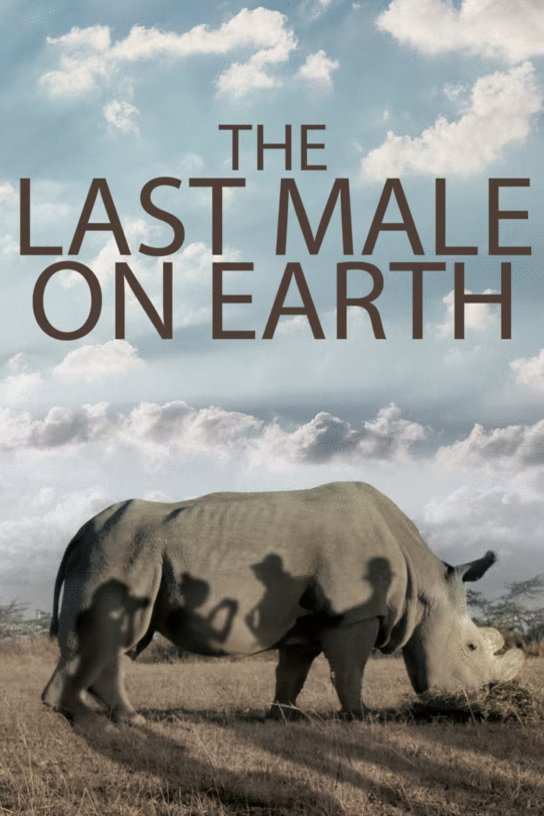 Poster of the movie The Last Male on Earth [2019]