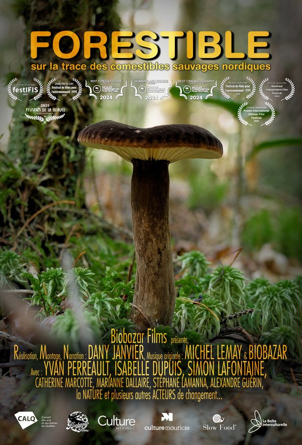Poster of the movie Forestible - sur la trace des comestibles sauvages nordiques [2024]