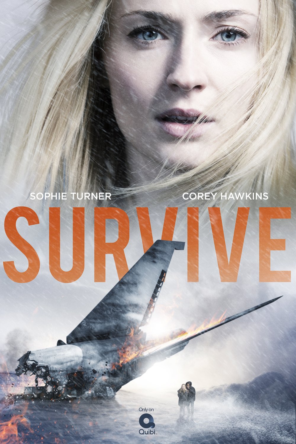 Poster of the movie Survive