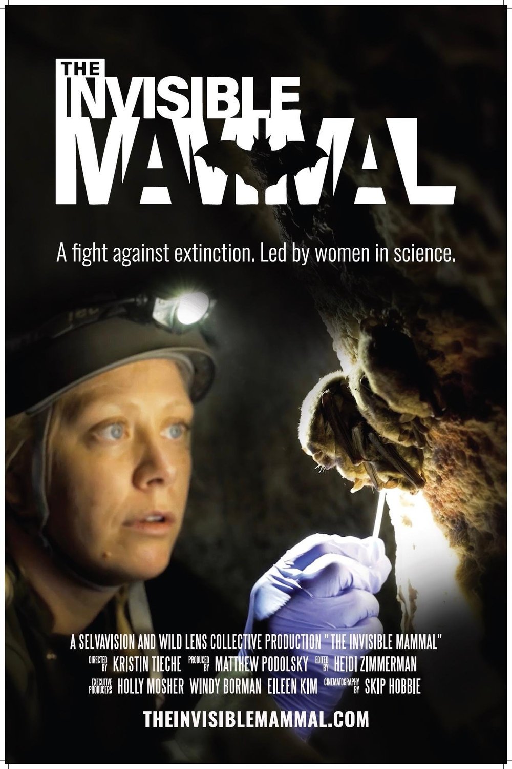 L'affiche du film The Invisible Mammal