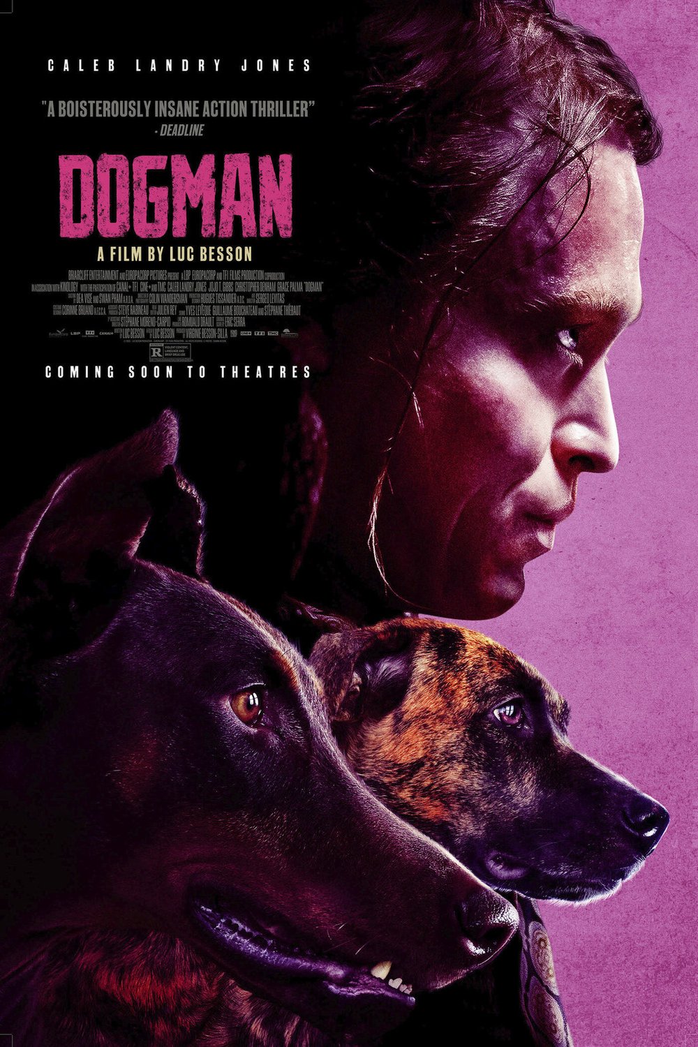 Spanish poster of the movie Dogman