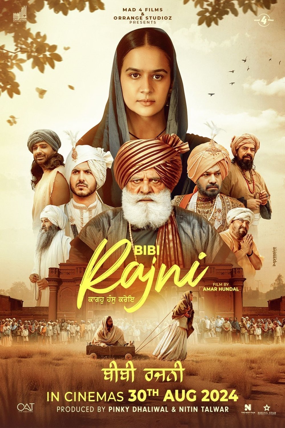 Punjabi poster of the movie Bibi Rajni