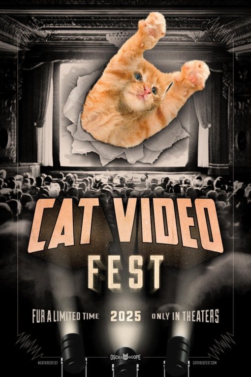 Poster of the movie CatVideoFest 2025