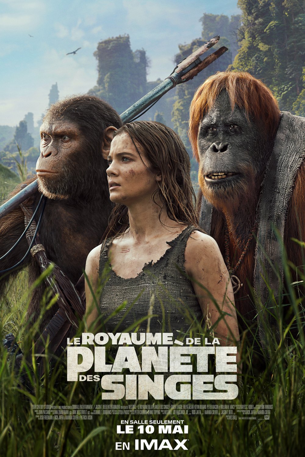 L'affiche du film Le Royaume de la Planète des Singes