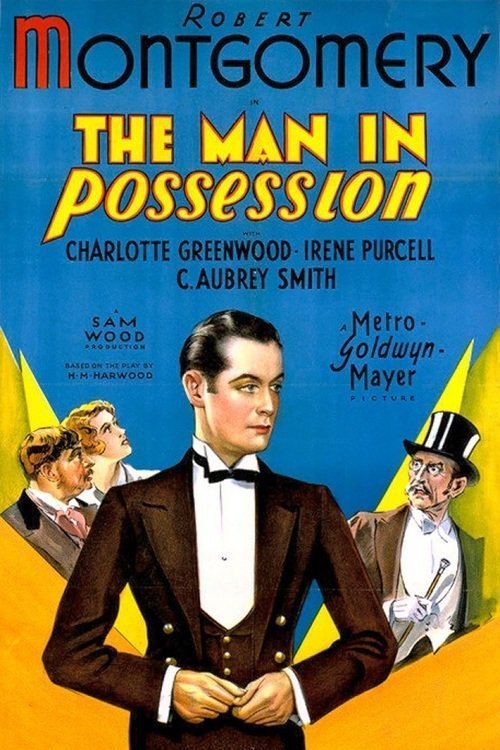 L'affiche du film The Man in Possession