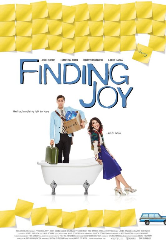 L'affiche du film Finding Joy [2013]