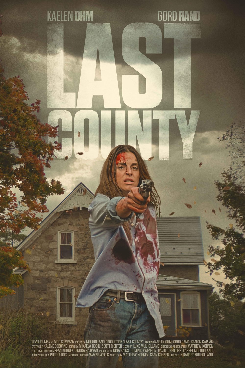 Poster of the movie Last County