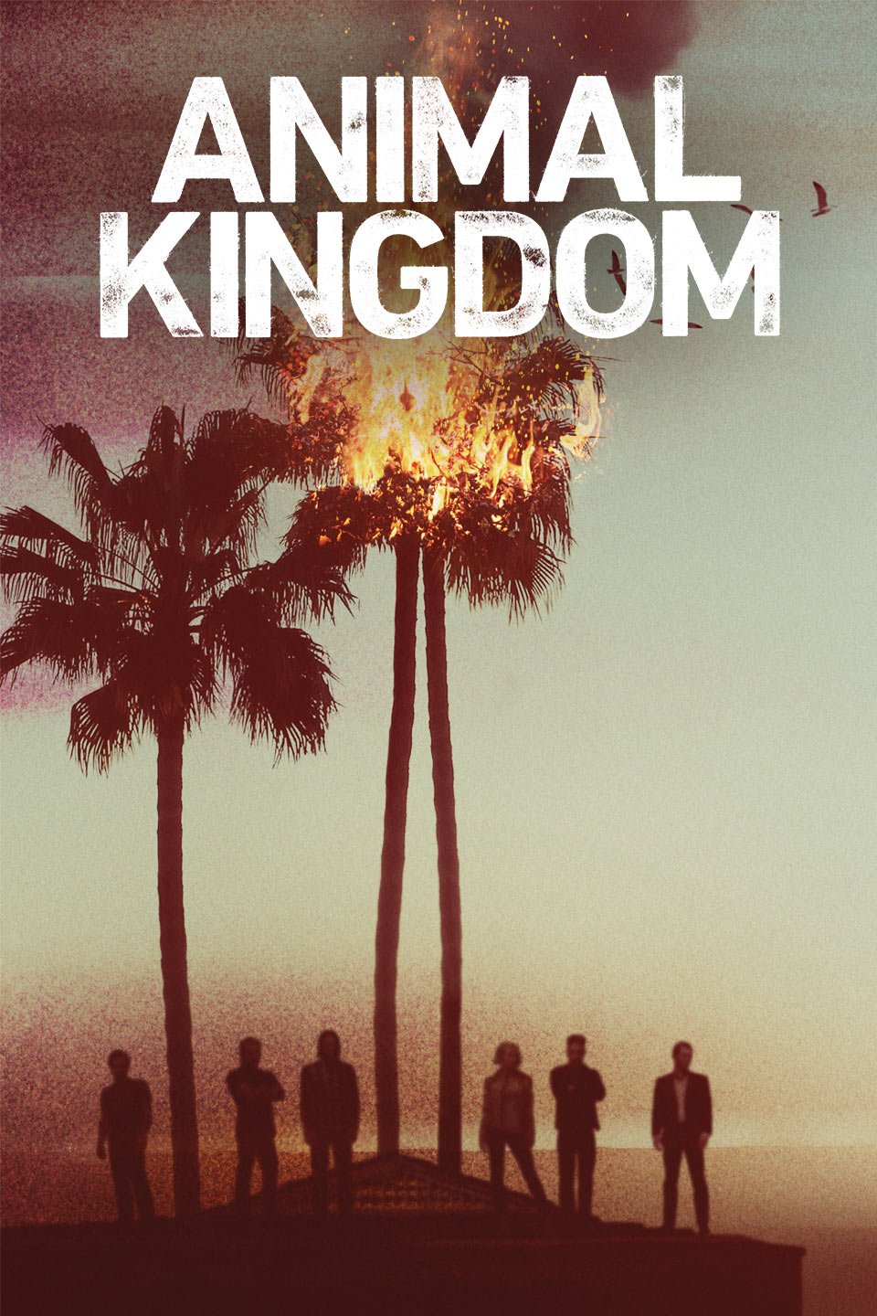 Poster of the movie Animal Kingdom