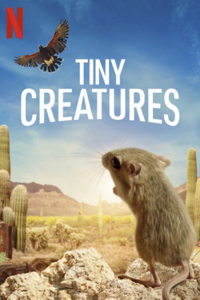 L'affiche du film Tiny Creatures [2020]