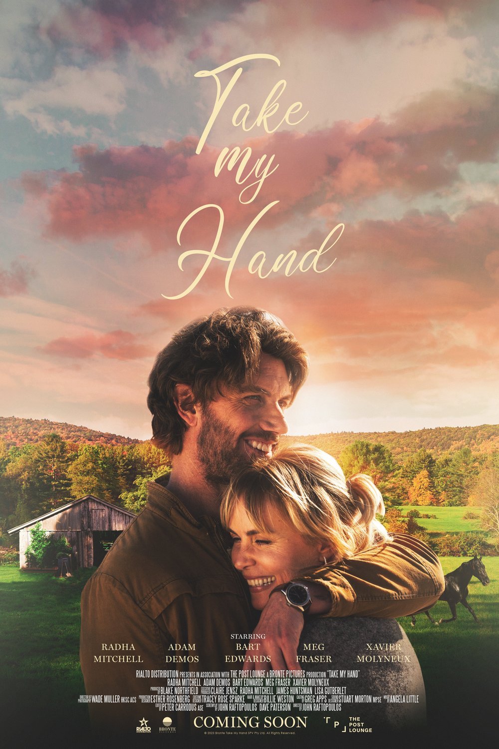 Poster of the movie Take My Hand