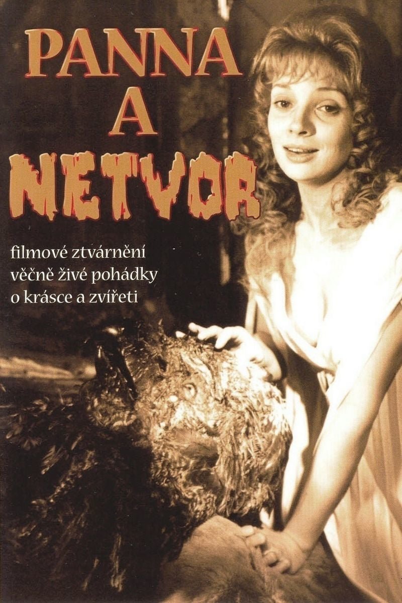 Poster of the movie Panna a netvor