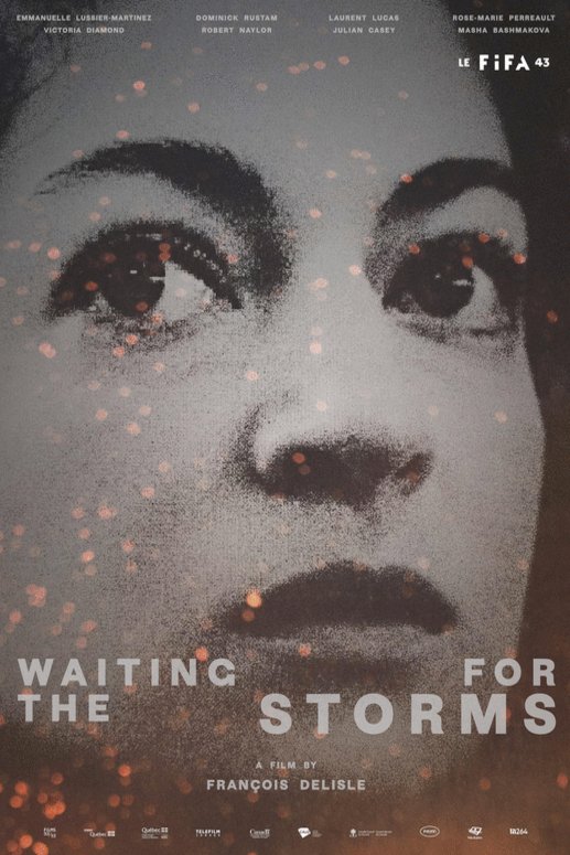 Poster of the movie Waiting for the Storms