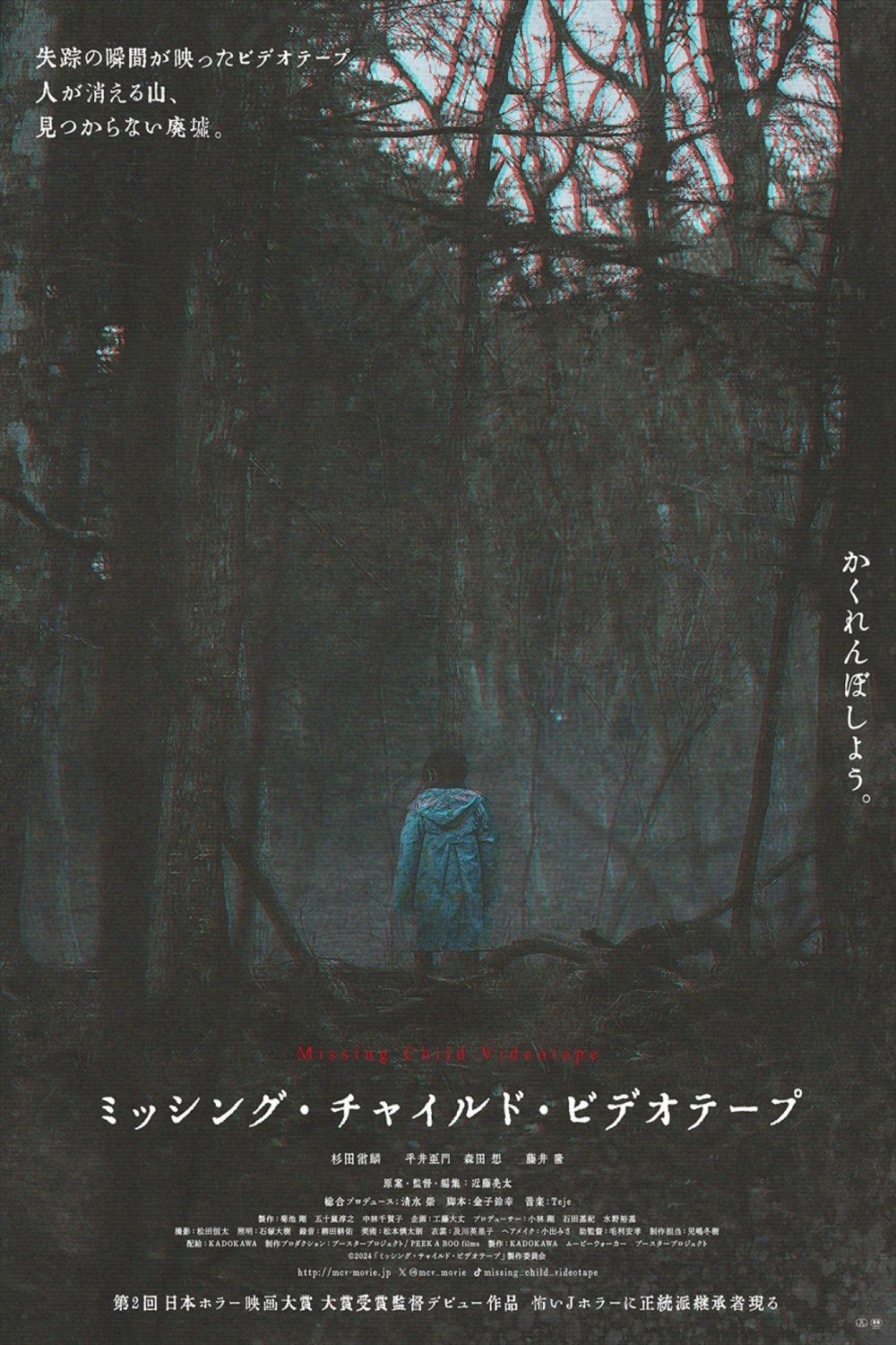 L'affiche du film Missing Child Videotape