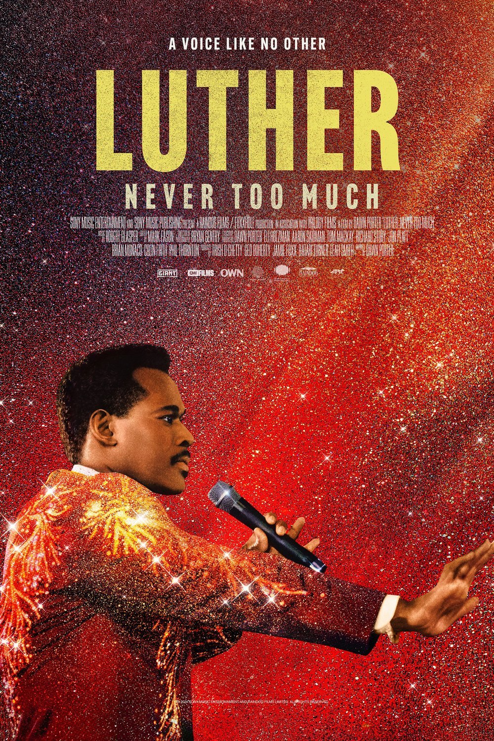 L'affiche du film Luther: Never Too Much
