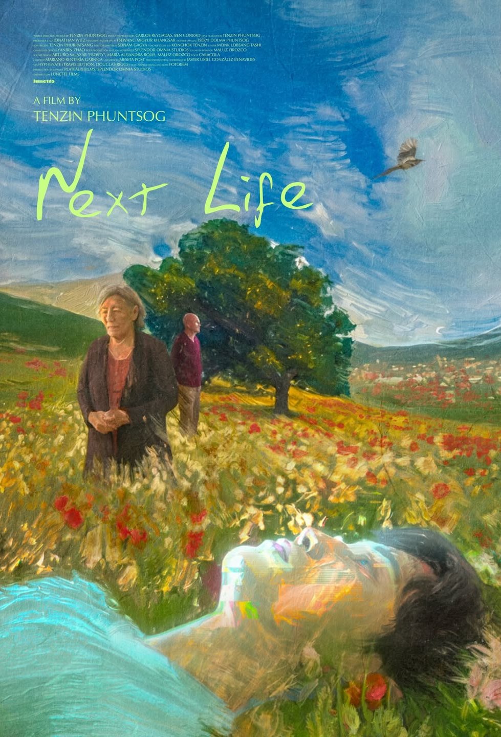 Poster of the movie Next Life [2025]