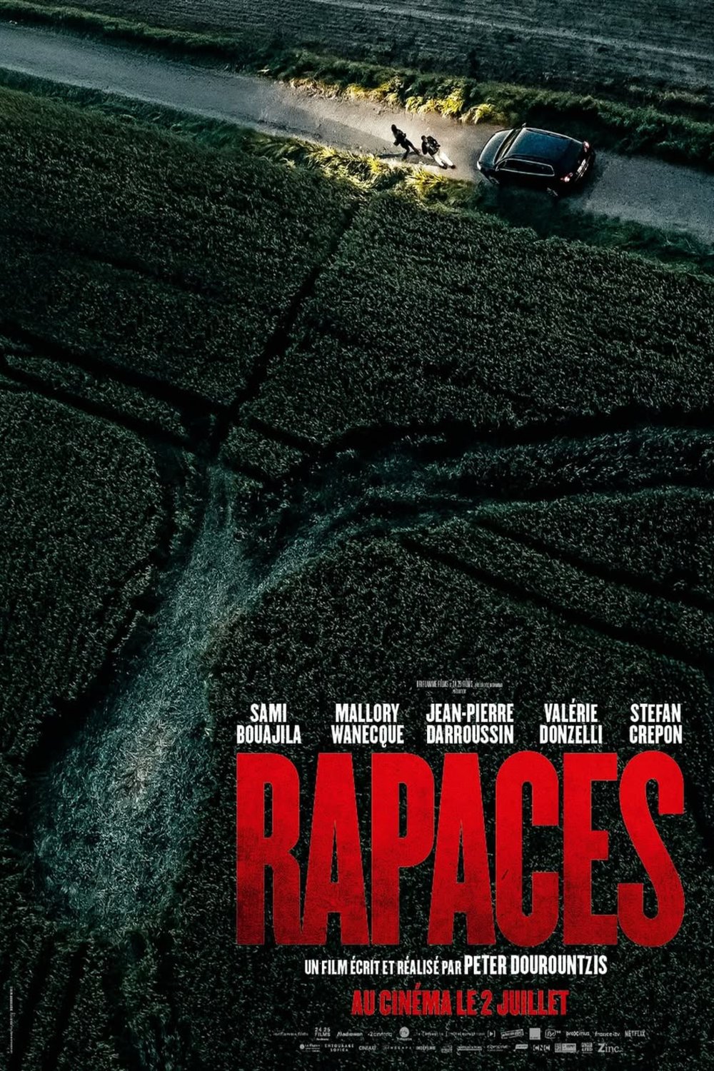 Poster of the movie Vultures [2025]