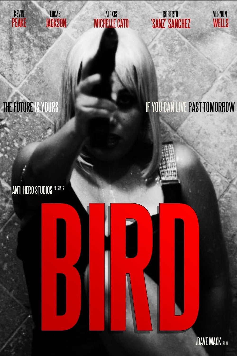 Poster of the movie Bird