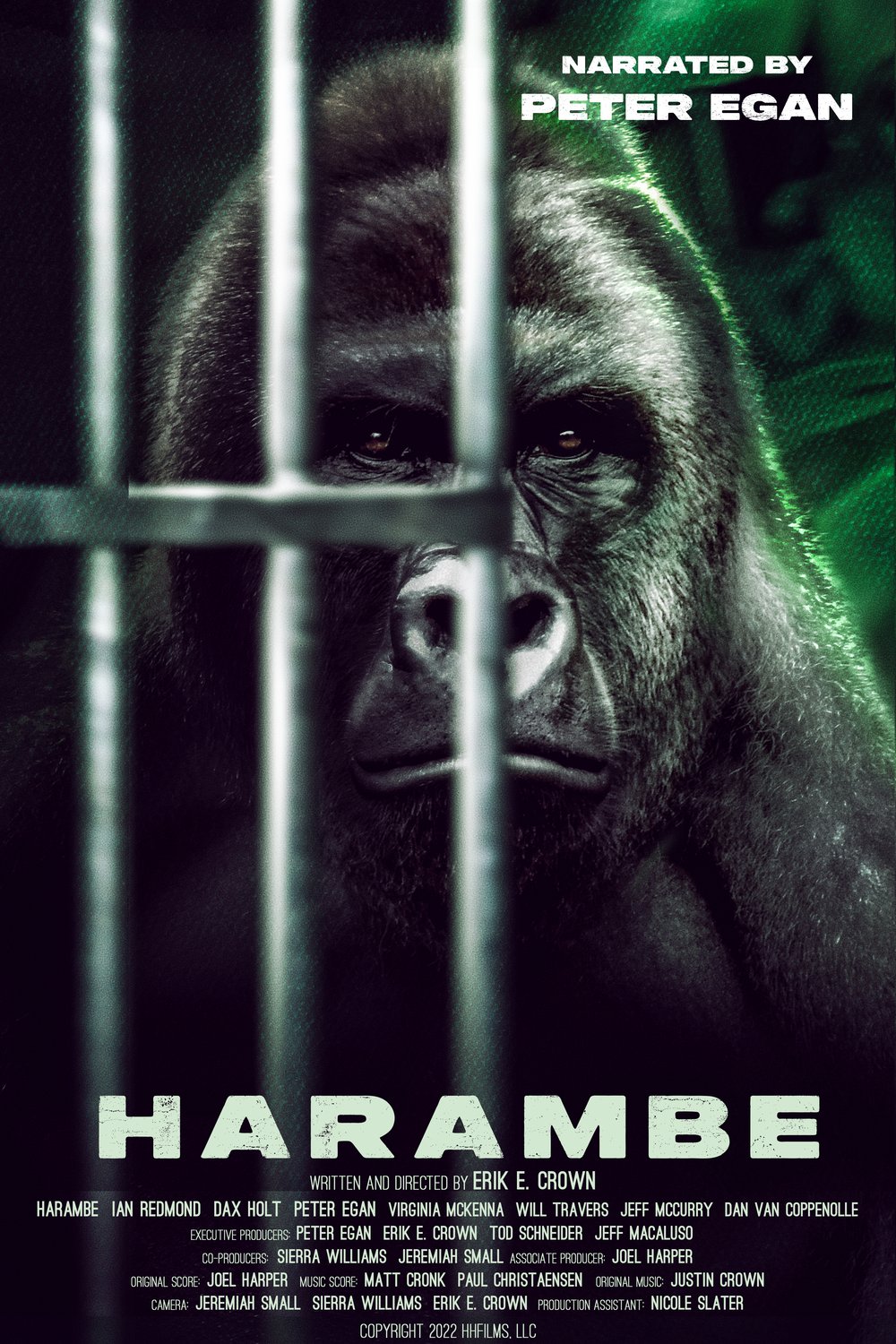 L'affiche du film Harambe [2023]