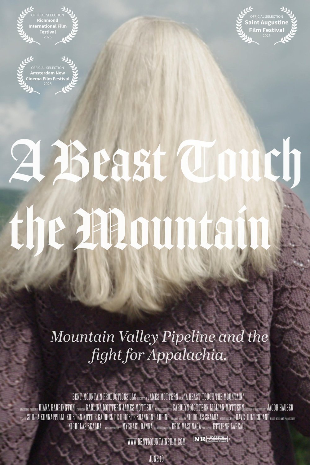 Poster of the movie A Beast Touch the Mountain [2025]