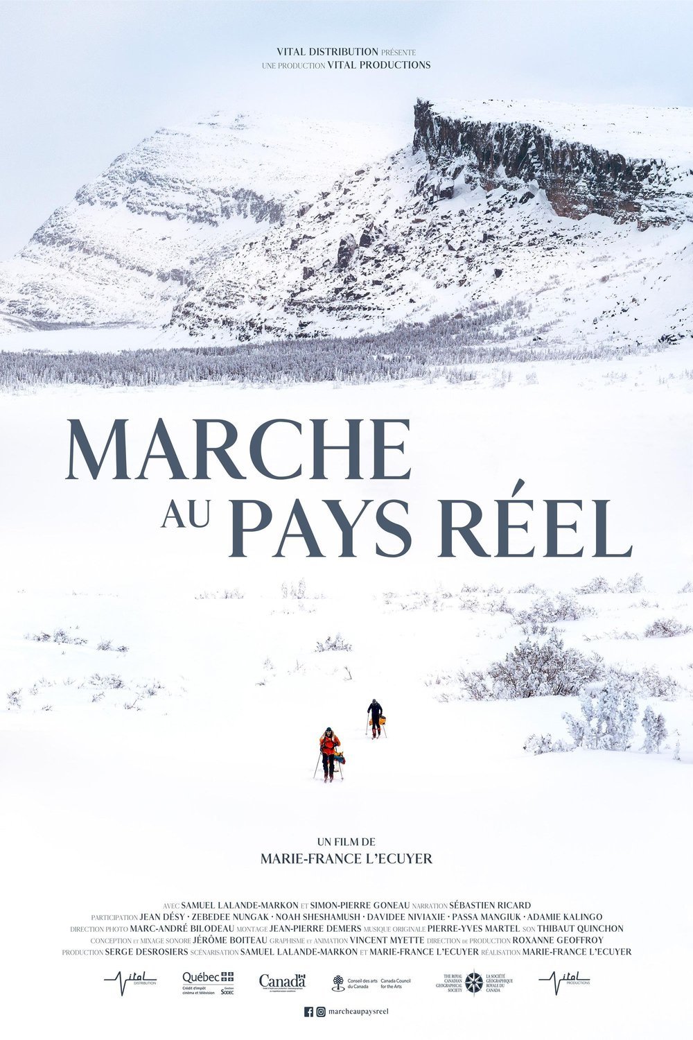 Poster of the movie Marche au pays réel