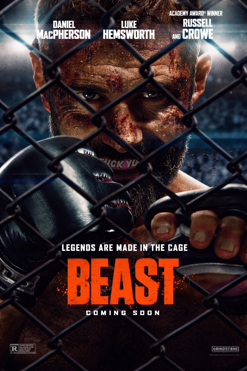 L'affiche du film Beast