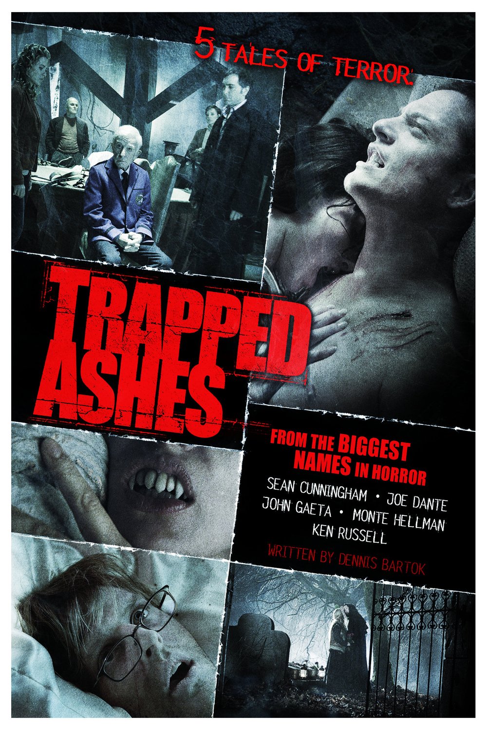 L'affiche du film Trapped Ashes [2006]