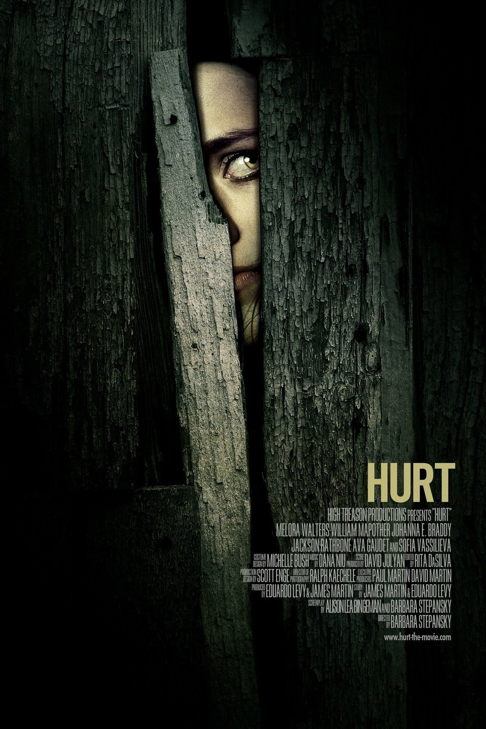 L'affiche du film Hurt [2009]