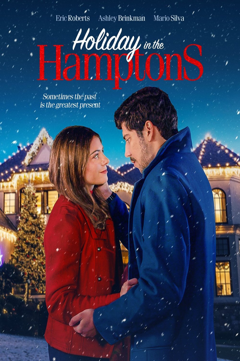 Poster of the movie Holiday in the Hamptons