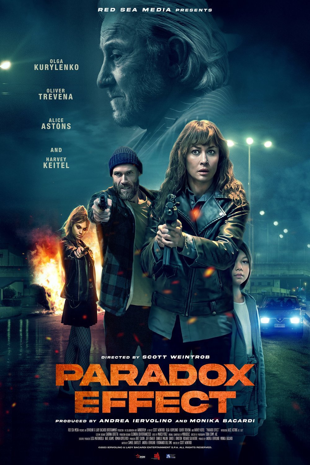 Poster of the movie Paradox Effect