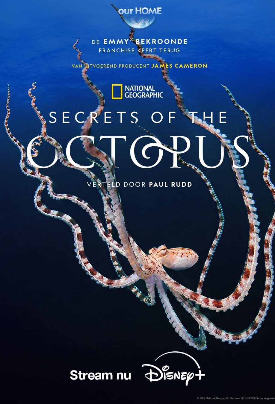 Poster of the movie Secrets of the Octopus