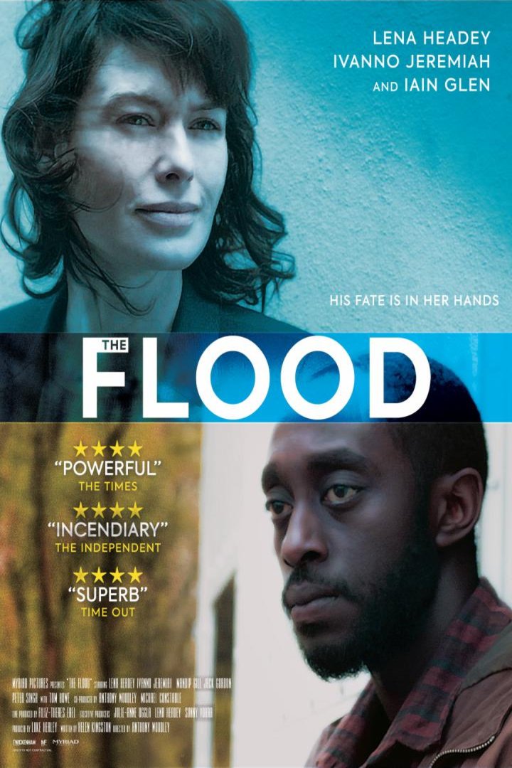 Poster of the movie The Flood