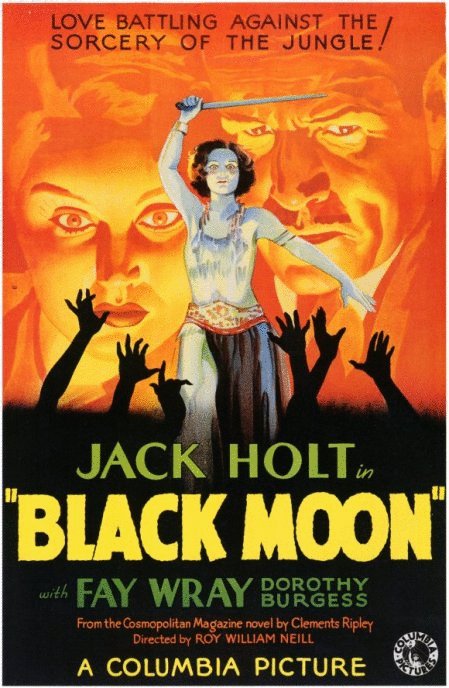 Poster of the movie Black Moon