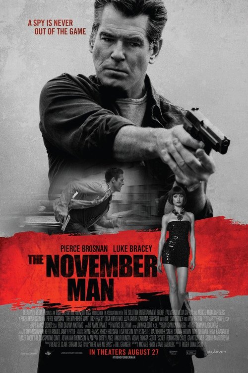 Poster of the movie The November Man [2014]
