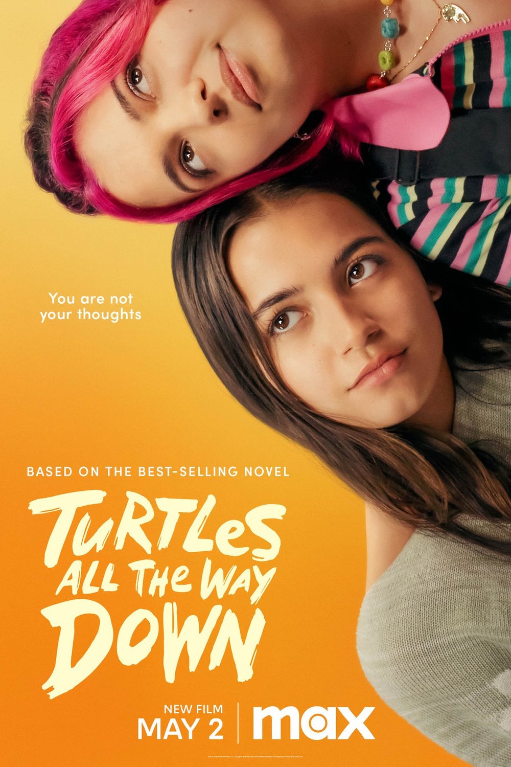 L'affiche du film Turtles All the Way Down [2024]