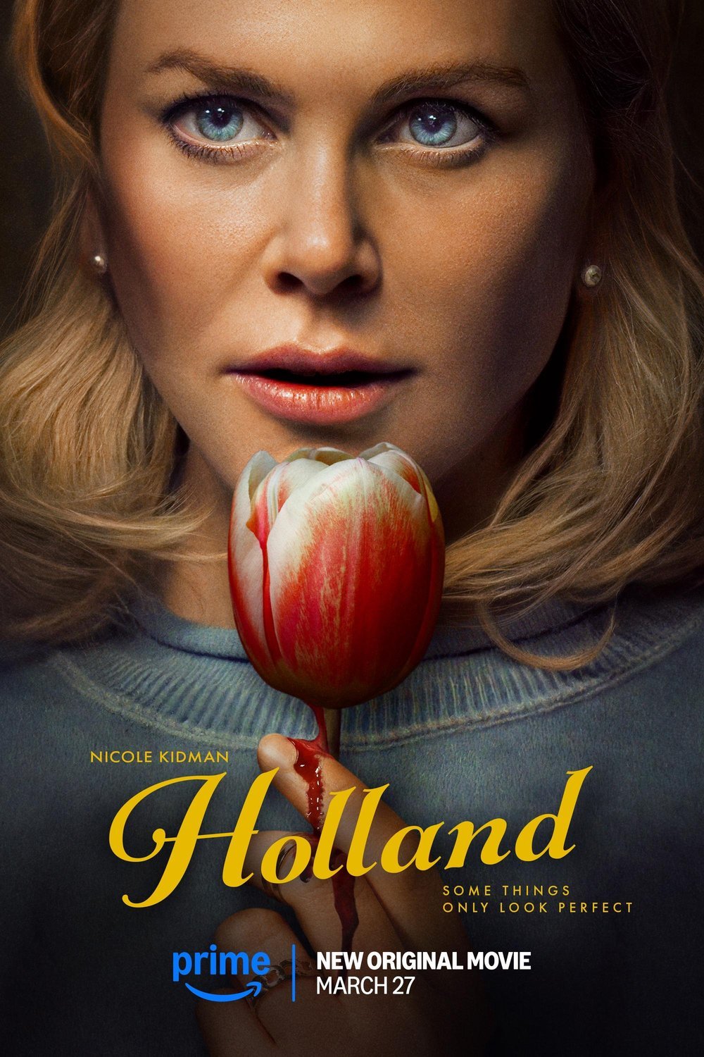Poster of the movie Holland [2025]