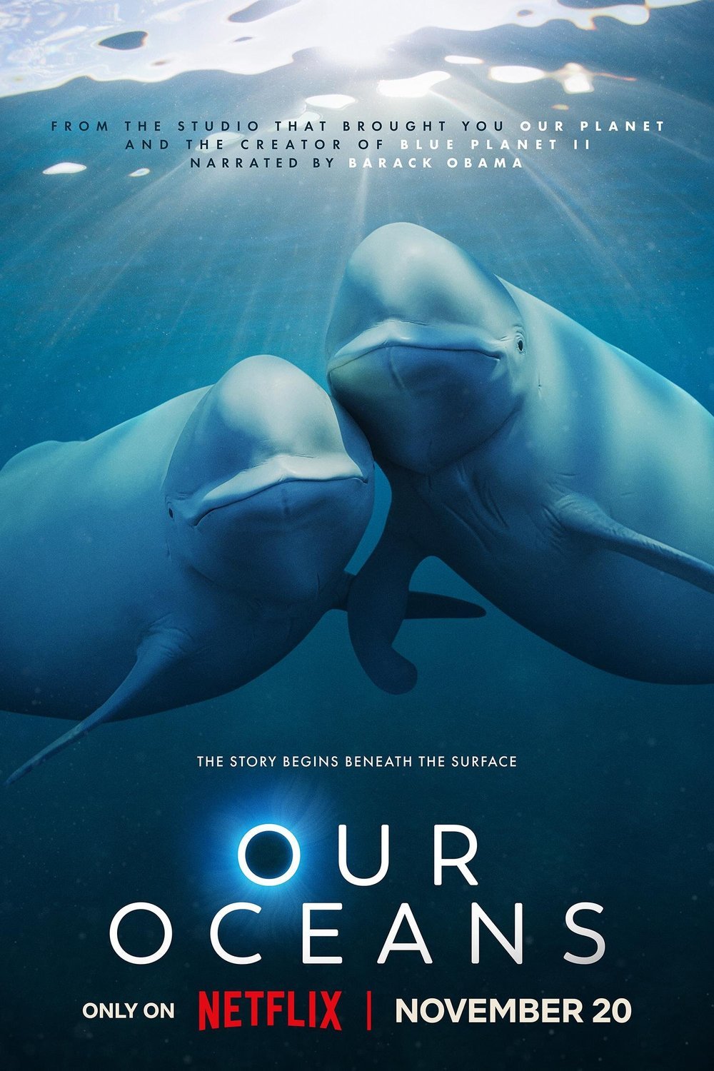 Poster of the movie Our Oceans