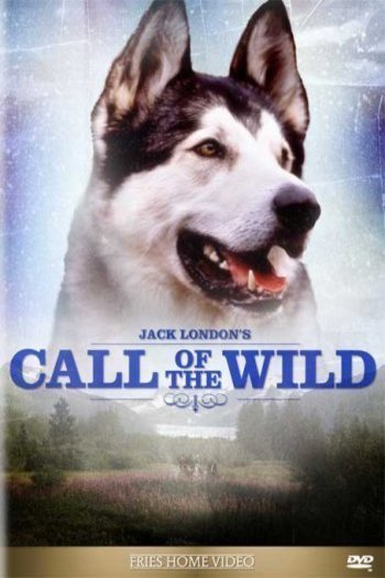 Poster of the movie Call of the Wild