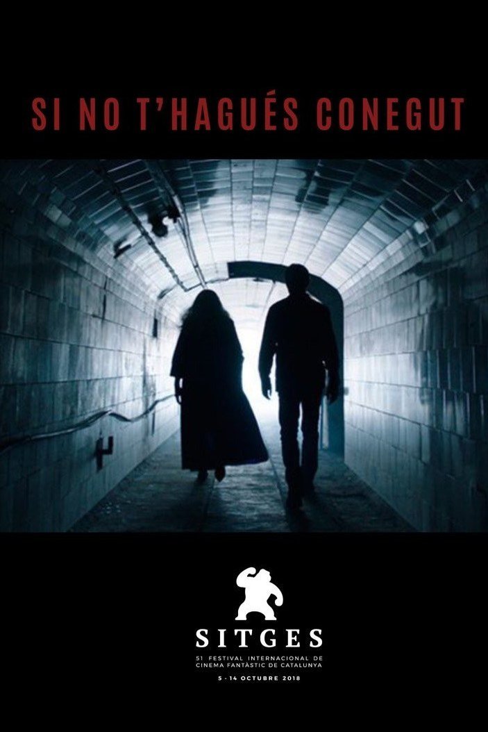 Poster of the movie If I Hadn't Met You