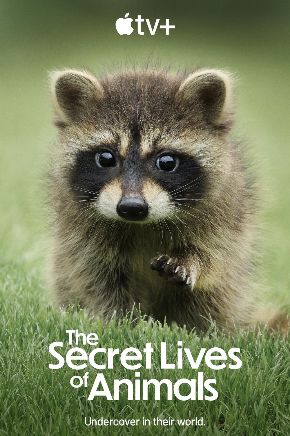 Poster of the movie The Secret Lives of Animals