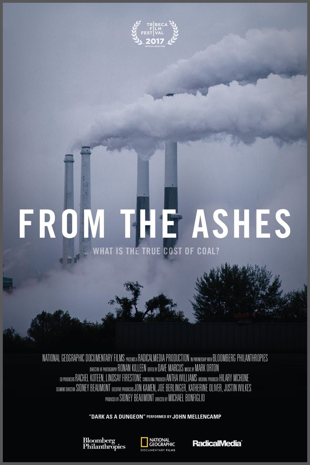 Poster of the movie From the Ashes