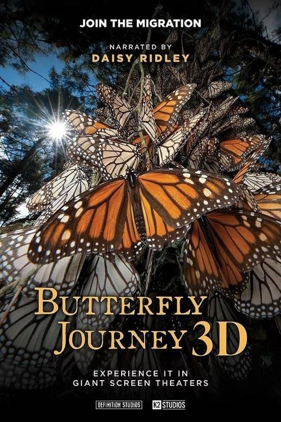 L'affiche du film Butterfly Journey