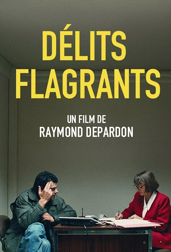 Poster of the movie Délits flagrants