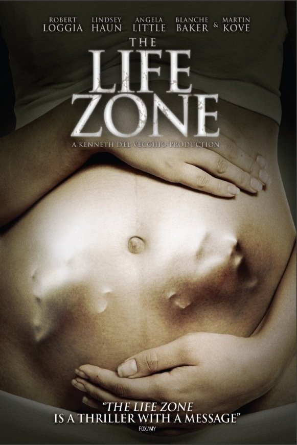 L'affiche du film The Life Zone [2011]