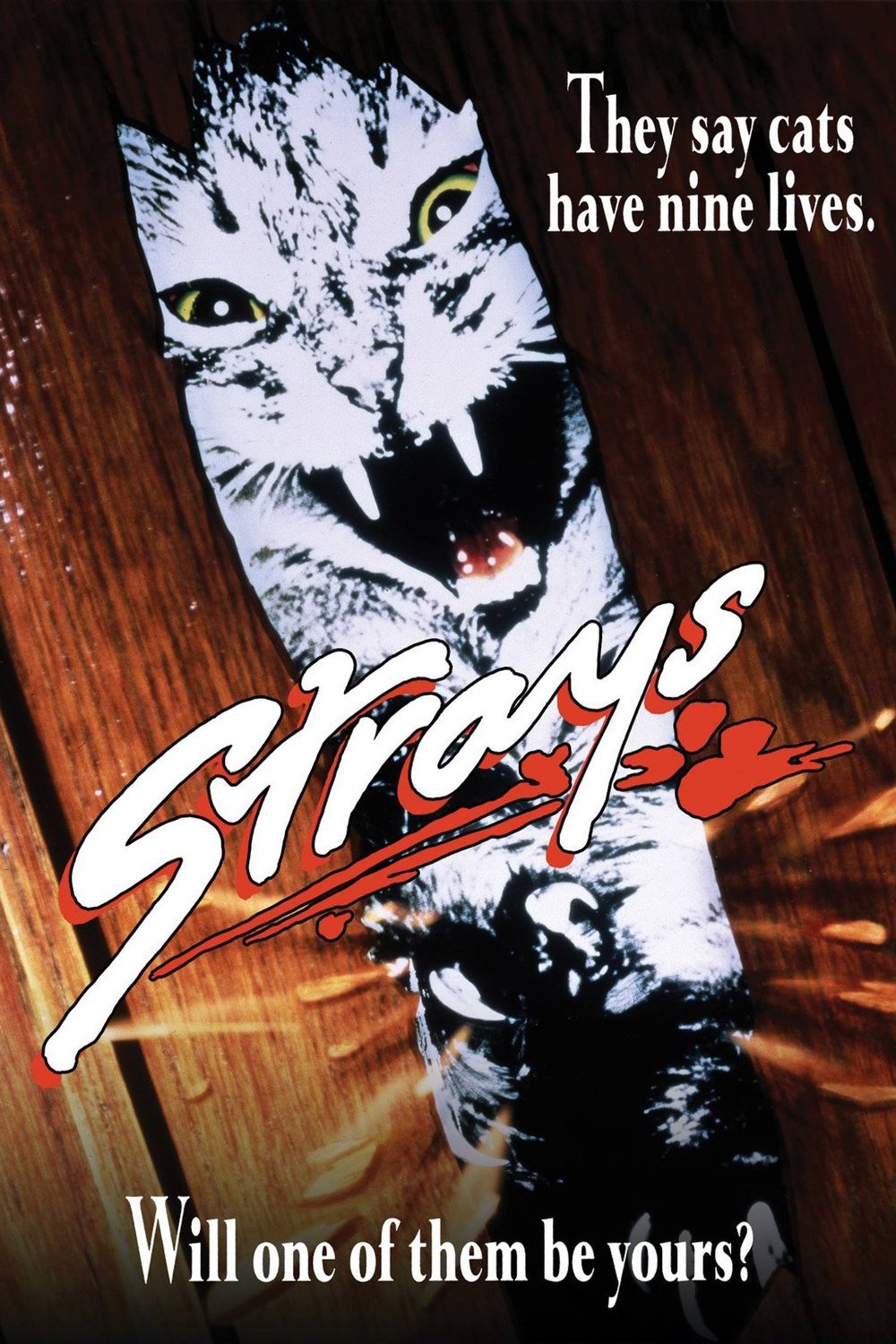 Poster of the movie Strays