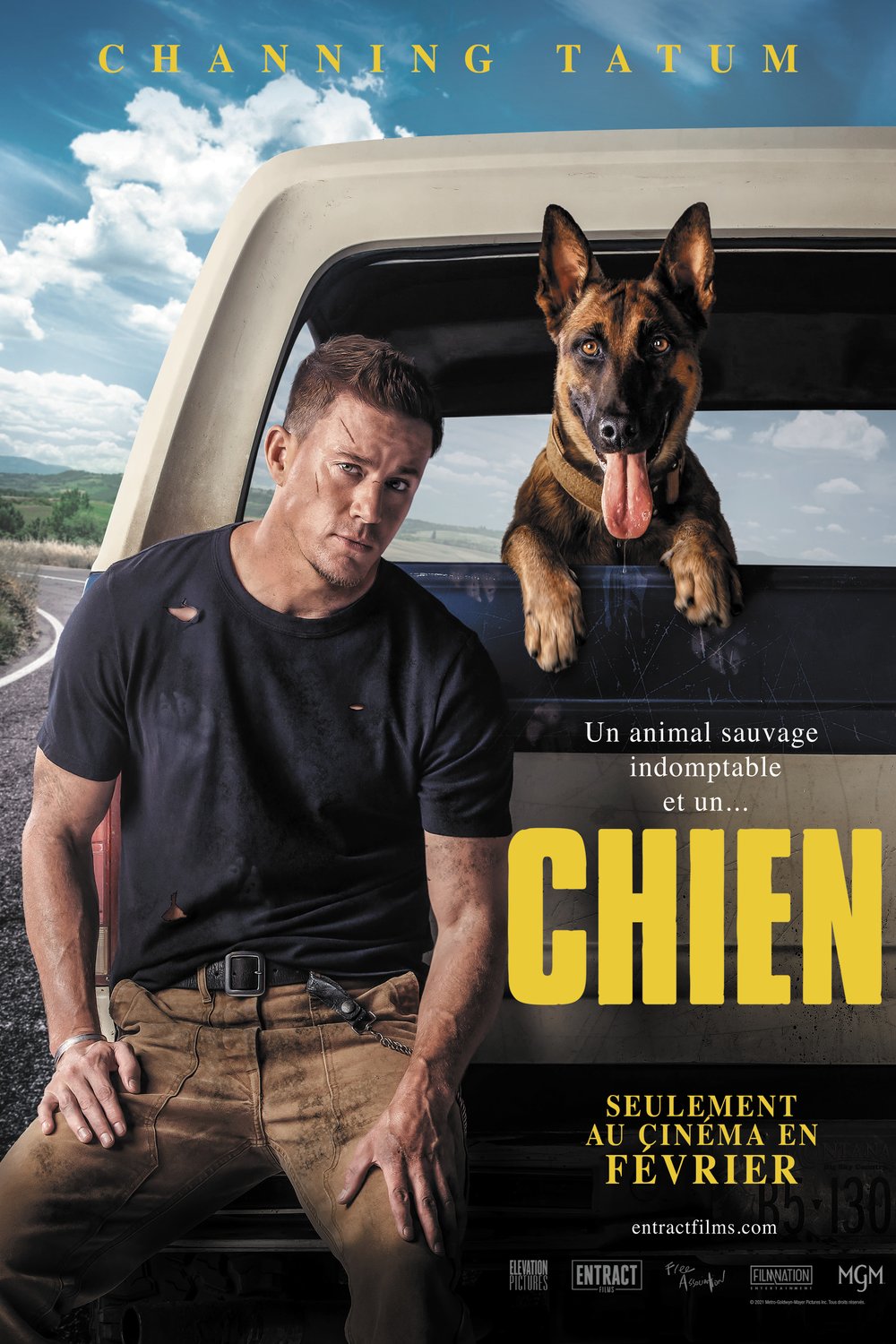 L'affiche du film Chien